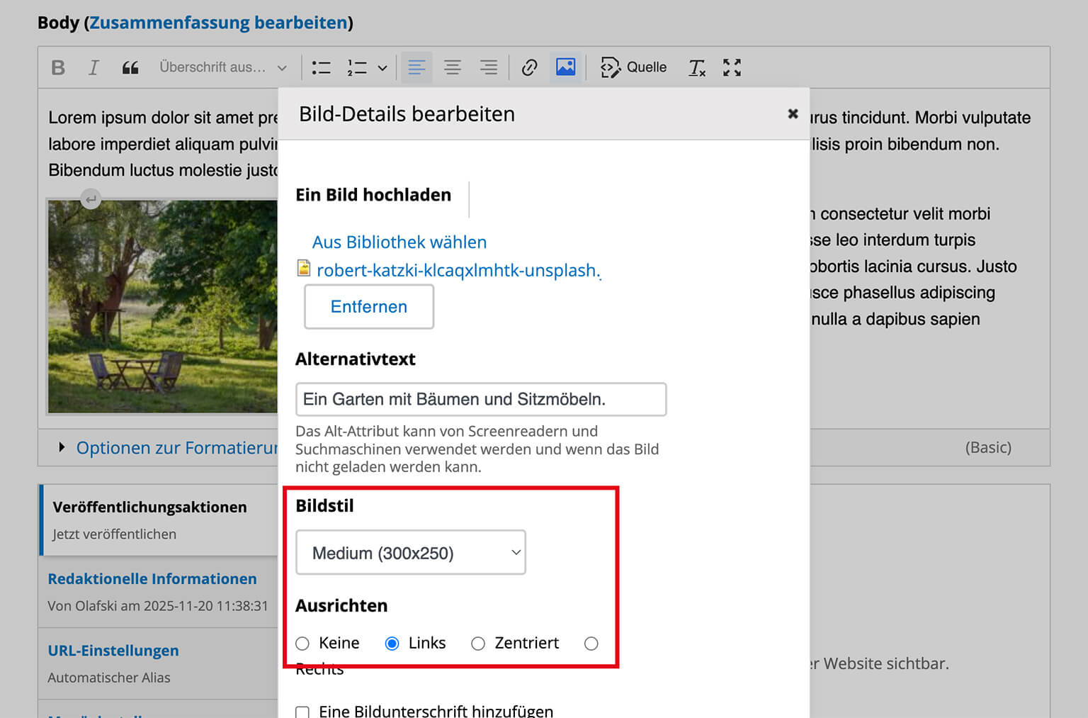 Bildverwendung im Editor, mit Bildstilen