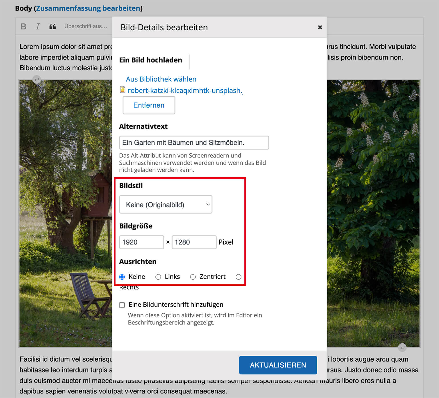 Bildverwendung im CKEditor